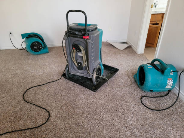 Water damage restoration experts in Salyersville, KY