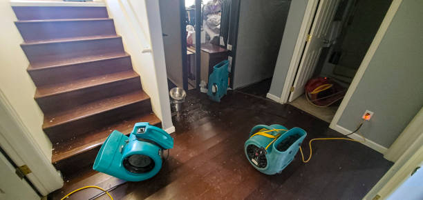 Best Water damage restoration near me  in Salyersville, KY