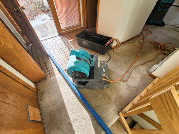 Best Commercial water damage restoration  in Salyersville, KY
