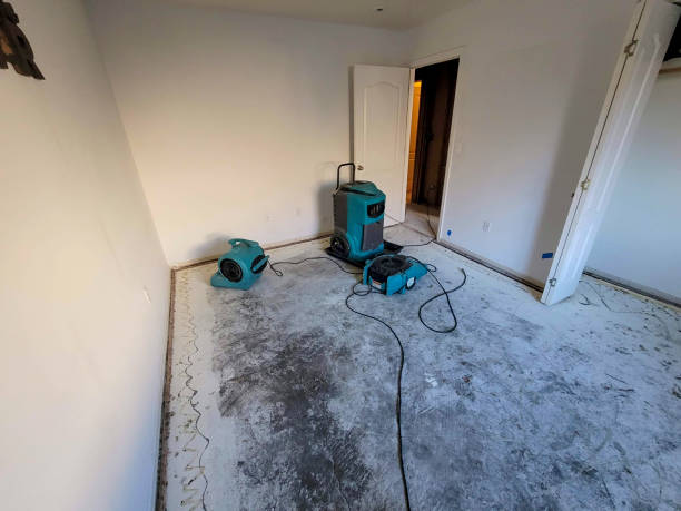 Best Sewage cleanup and water damage restoration  in Salyersville, KY