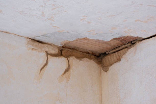 Best Basement water damage restoration  in Salyersville, KY