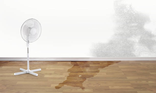 Salyersville, KY Water damage restoration Company