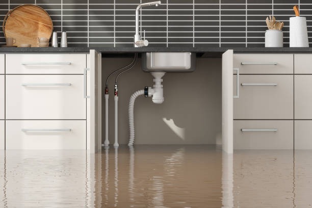 Best Local water damage restoration  in Salyersville, KY